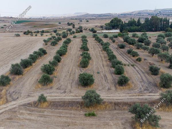 land for sale dali nicosia 933600 image 15602465