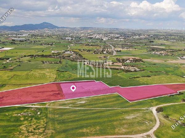 plot for sale mazotos larnaca 1248600 image 10499898