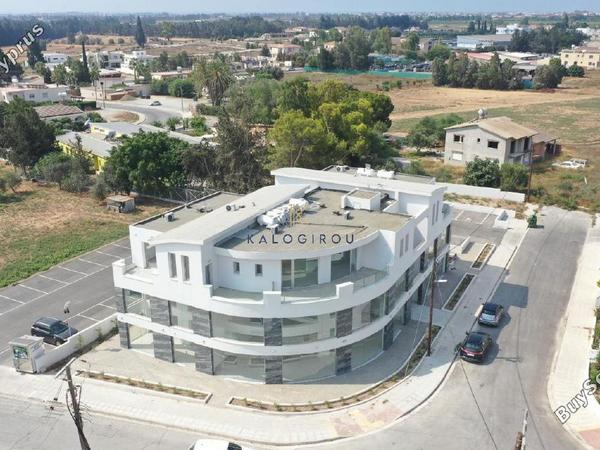 studio commercial building for sale meneou larnaca 8972600 image 17895866