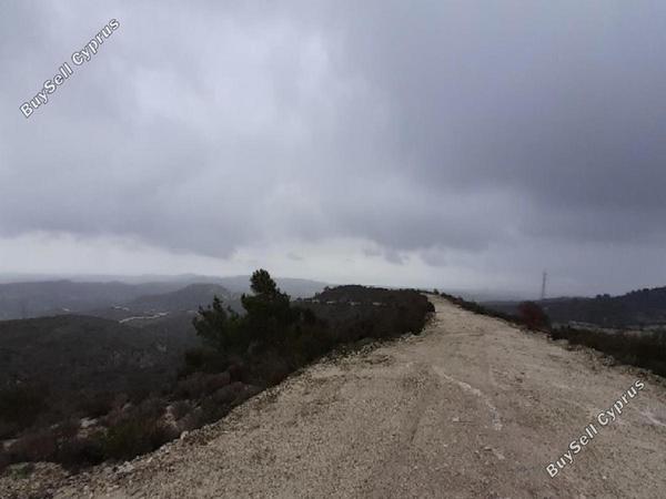 land for sale chrysopolitissa larnaca 8726700 image 16333458