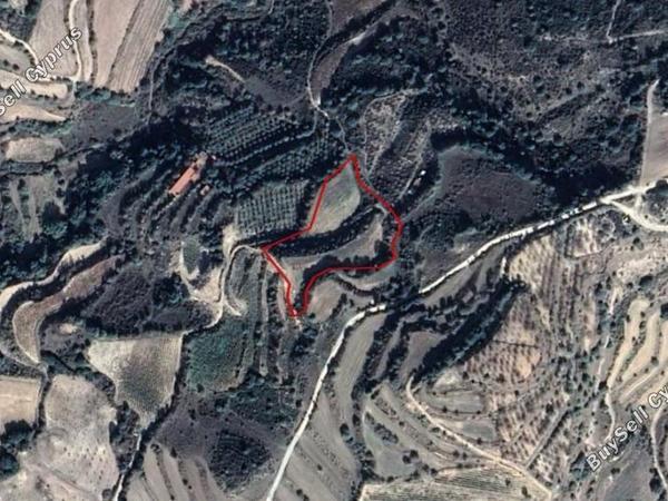 land for sale lemona paphos 8630700 image 15873955