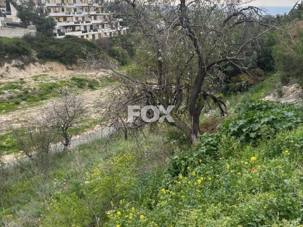 land for sale peyia paphos 7697700 image 14933943