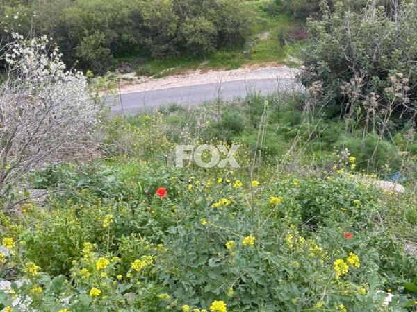 land for sale peyia paphos 7697700 image 14933944