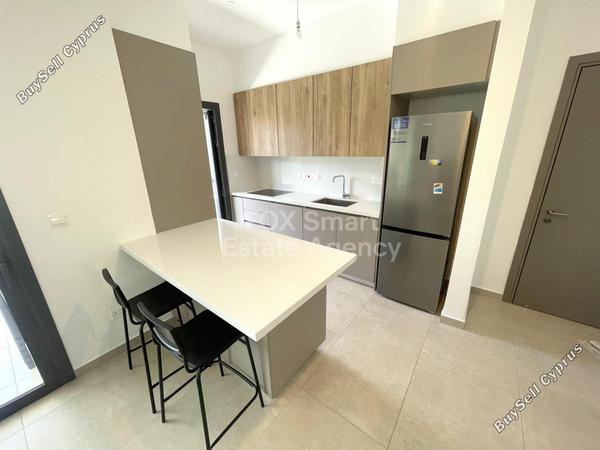2 bedroom apartment for rent dasoupoli nicosia 1880800 image 16676147