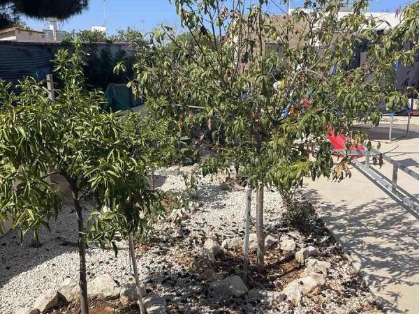 2 bedroom detached house sold kapparis famagusta 8747800 image 16614401