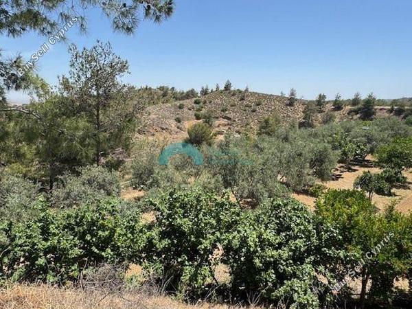 2 bedroom detached house for sale klirou nicosia 1841900 image 6588432