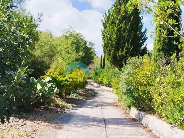 2 bedroom detached house for sale klirou nicosia 1841900 image 6588436