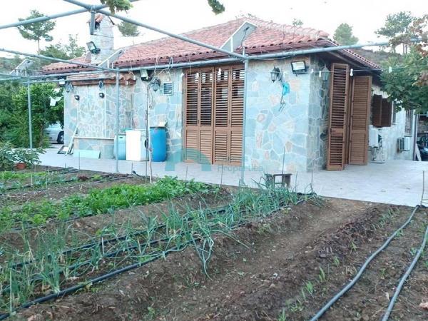2 bedroom detached house for sale klirou nicosia 1841900 image 6588442