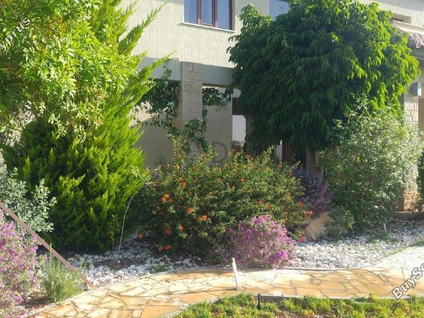5 bedroom detached house for sale akrounta limassol 8997900 image 18359727