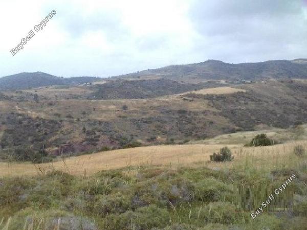 land for sale ineia paphos 8433900 image 15594905