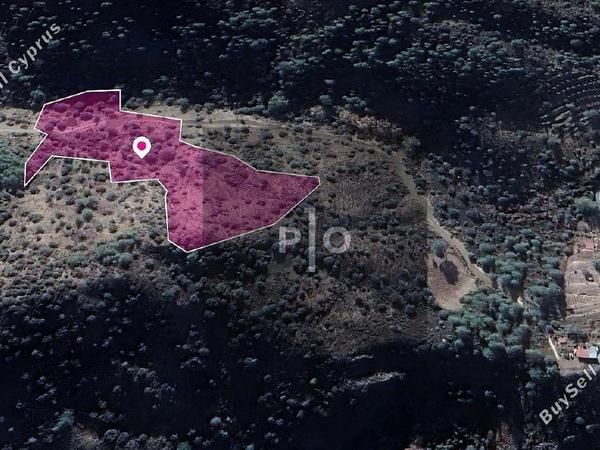 land for sale kaminaria limassol 8274900 image 15156211