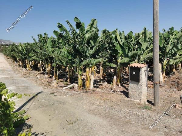 land for sale sea caves peyia paphos 1684900 image 5186560
