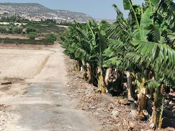 land for sale sea caves peyia paphos 1684900 image 5186563