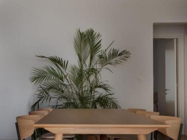2 bedroom apartment for sale dasoupoli nicosia 8345010 image 14719413