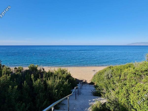 4 bedroom detached house for sale latsi paphos 1451010 image 5142353