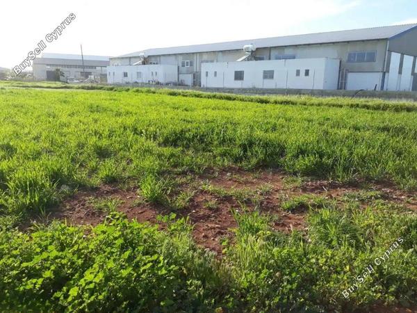 plot for sale deryneia famagusta 8741010 image 16388458