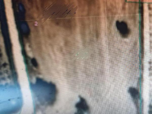 land for sale anafotida larnaca 8982110 image 17952277