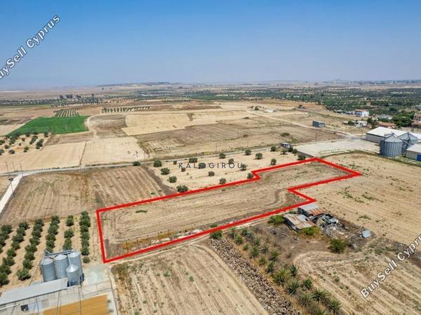 land for sale athienou larnaca 8255110 image 13902825