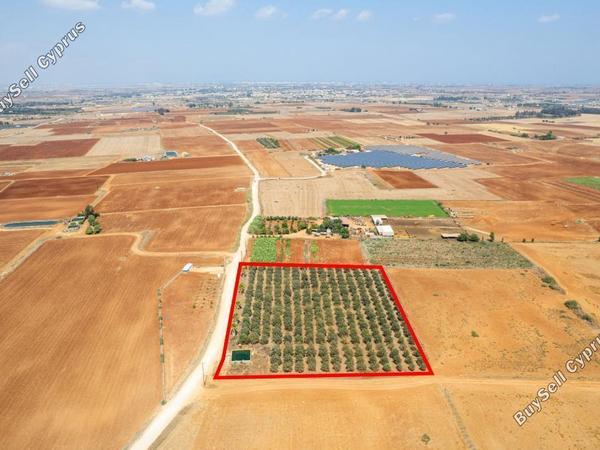 land for sale avgorou famagusta 949110 image 2655697