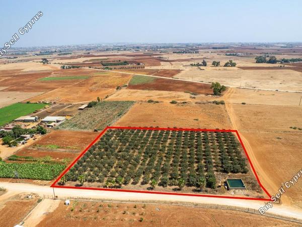 land for sale avgorou famagusta 949110 image 2655700