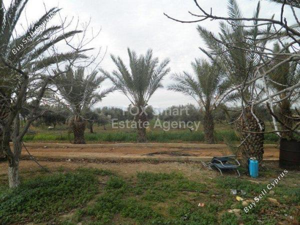 plot for sale astromeritis nicosia 1152110 image 5147313