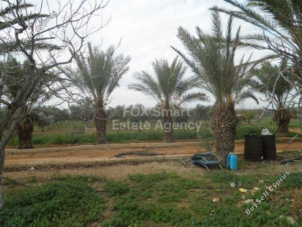 plot for sale astromeritis nicosia 1152110 image 5147315