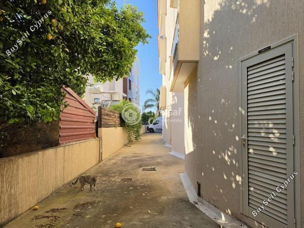 studio commercial building for sale mesa gitonia limassol 8870110 image 17216522
