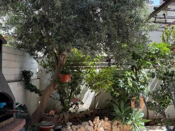 3 bedroom detached house for sale aradippou larnaca 8827210 image 17109736