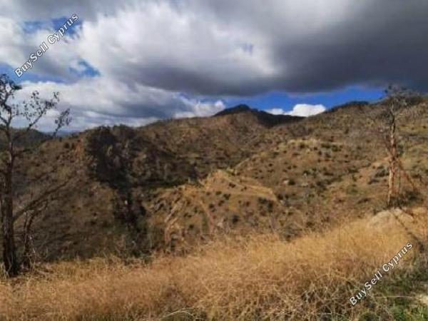 land for sale odou larnaca 1701210 image 4502783