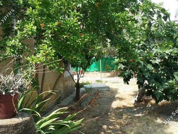 3 bedroom detached house for sale agios dometios nicosia 1069410 image 16159911