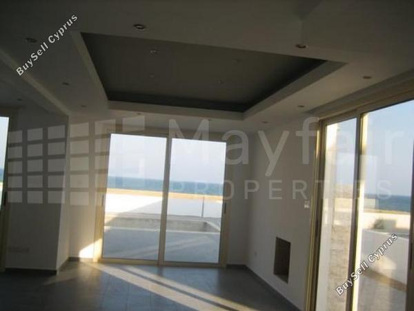 3 bedroom detached house for sale mazotos larnaca 7870410 image 11377811