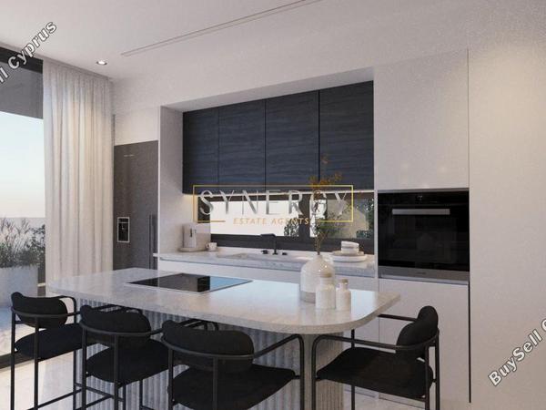 3 bedroom apartment for sale dasoupoli nicosia 1288510 image 16730268