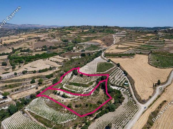 land for sale stroumbi paphos 1897510 image 14205988