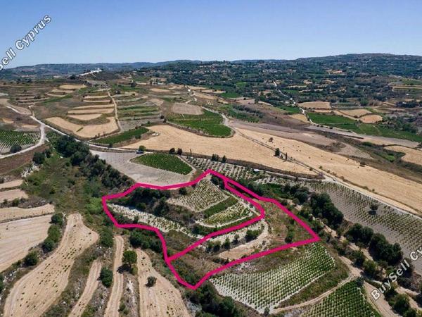 land for sale stroumbi paphos 1897510 image 14205989