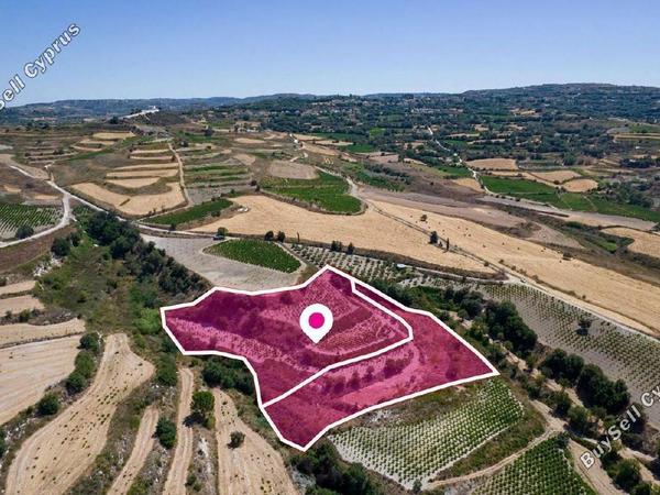 land for sale stroumbi paphos 1897510 image 14205990