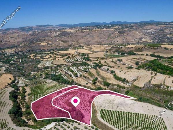 land for sale stroumbi paphos 1897510 image 14205991