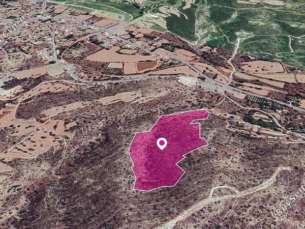 land for sale agios theodoros larnacas larnaca 8228610 image 13780553