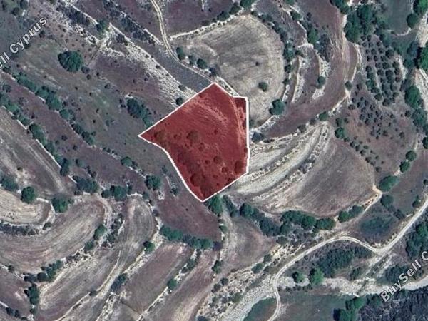 land for sale dora limassol 8140610 image 13940802