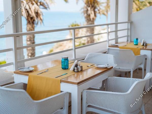 studio hotel for sale coral bay paphos 7739610 image 11751691