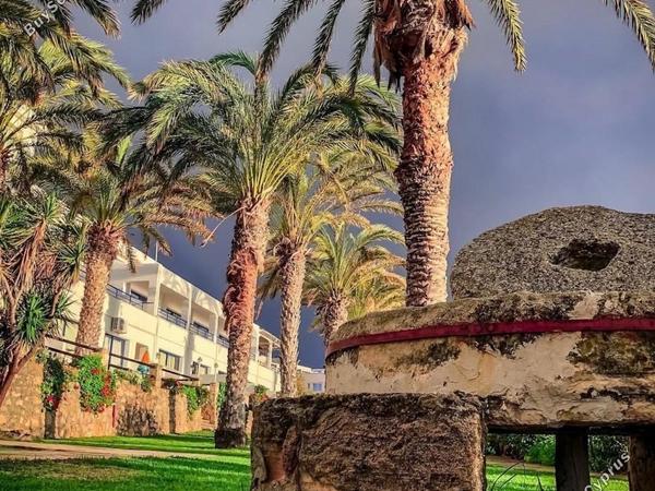 studio hotel for sale coral bay paphos 7739610 image 11751734