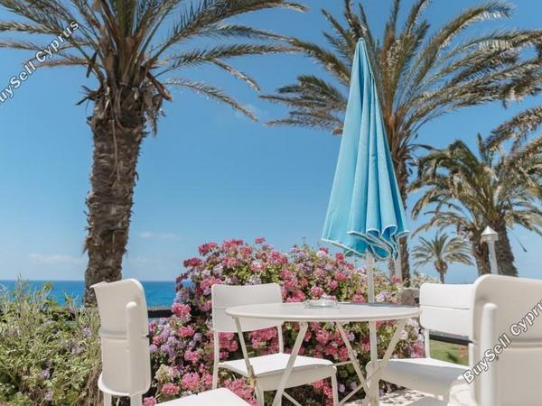 studio hotel for sale coral bay paphos 7739610 image 12575726