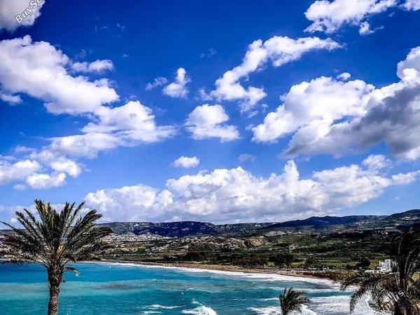 studio hotel for sale coral bay paphos 7739610 image 12575732
