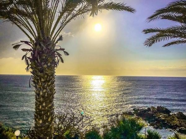 studio hotel for sale coral bay paphos 7739610 image 12575736