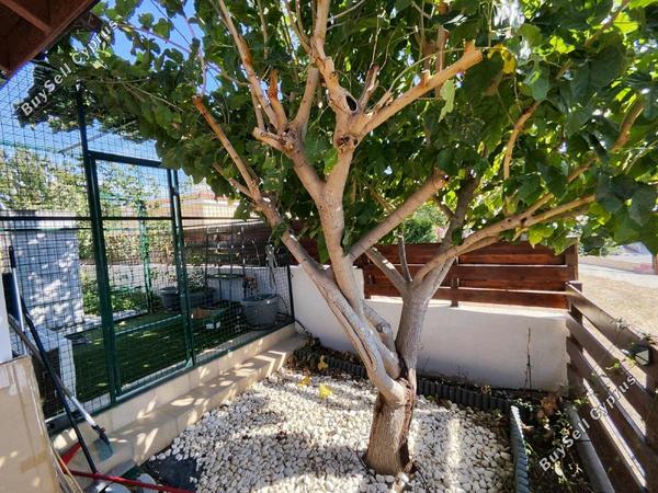 2 bedroom bungalow for sale parekklisia limassol 7842710 image 14502853