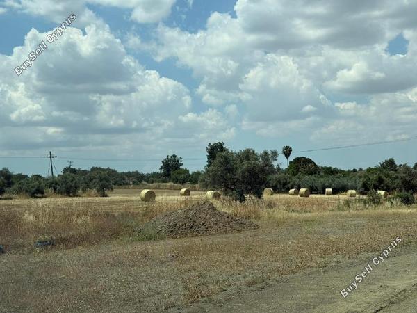 land for sale mathiatis nicosia 8710710 image 16268918