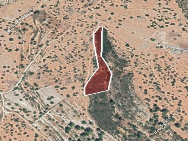 land for sale pachna limassol 8145710 image 13422353
