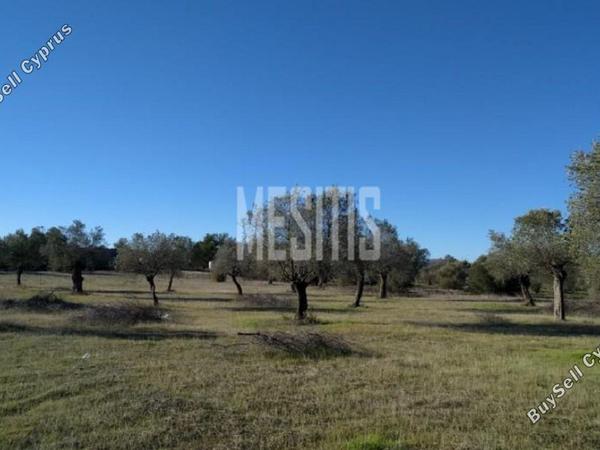 plot for sale kornos larnaca 1820710 image 10531051