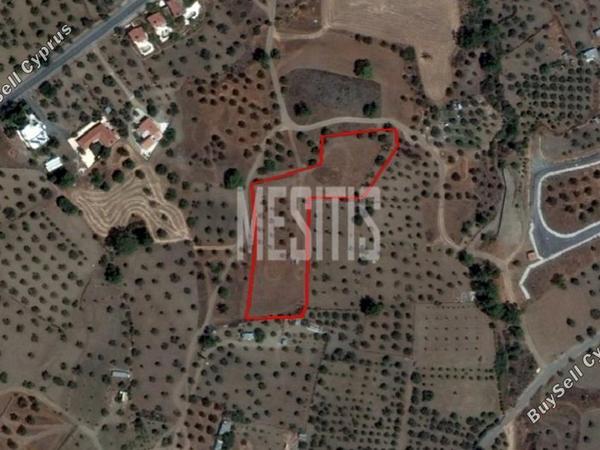 plot for sale kornos larnaca 1820710 image 12889452