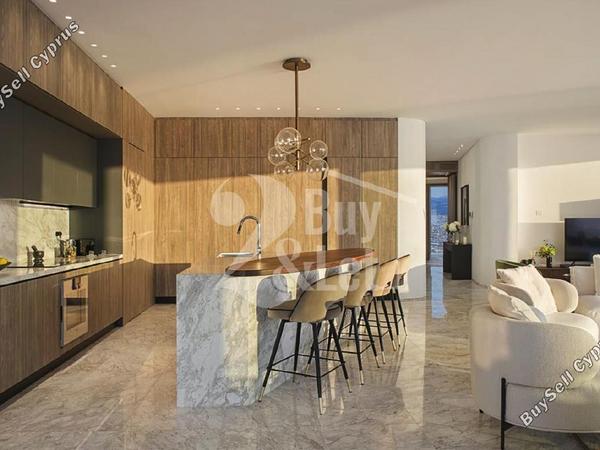 1 bedroom apartment for sale neapolis limassol 1685810 image 16310017