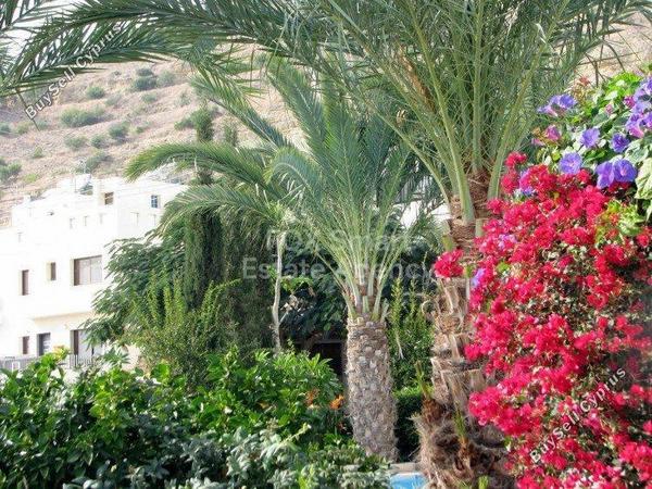 5 bedroom detached house for sale oroklini larnaca 1848810 image 6732912